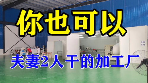 年收入48万的加工厂,设备投资不到3000,操作简单,夫妻干最合适